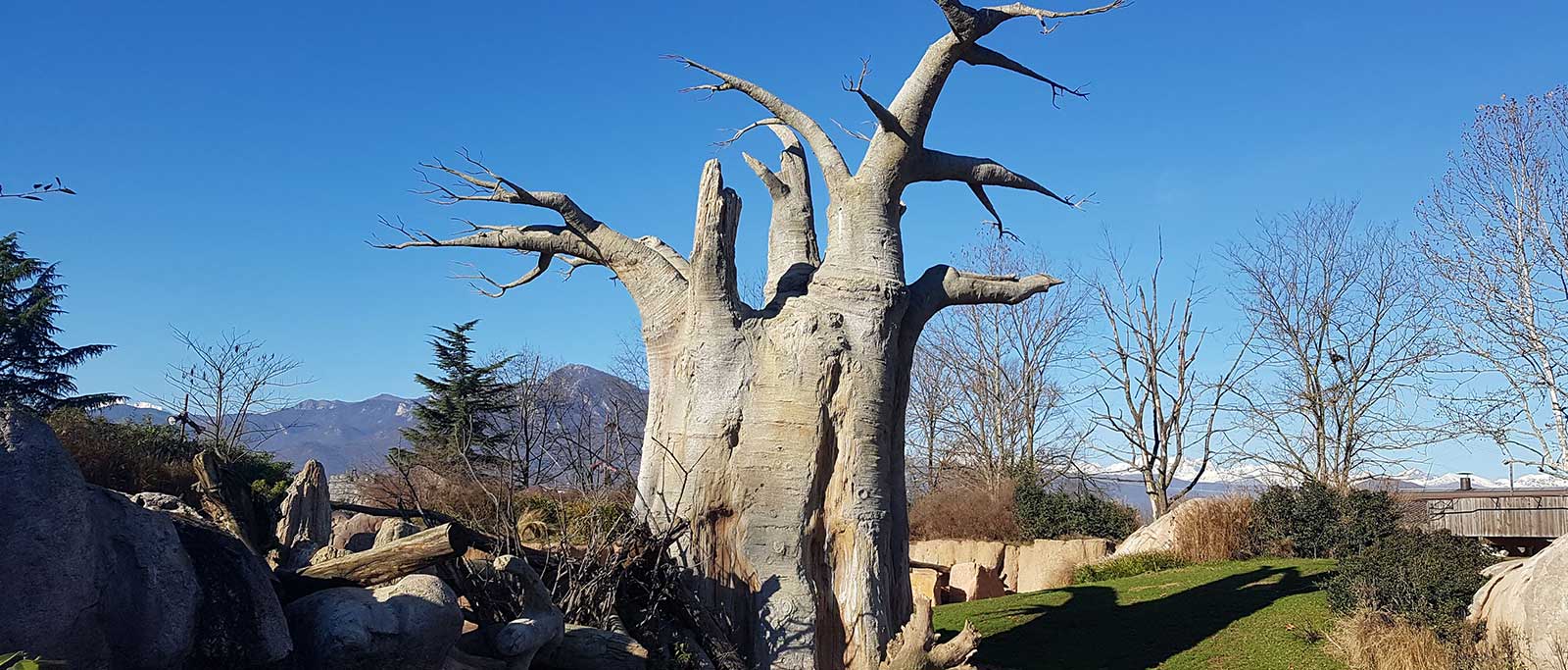 alberi-artificiali-slide-3