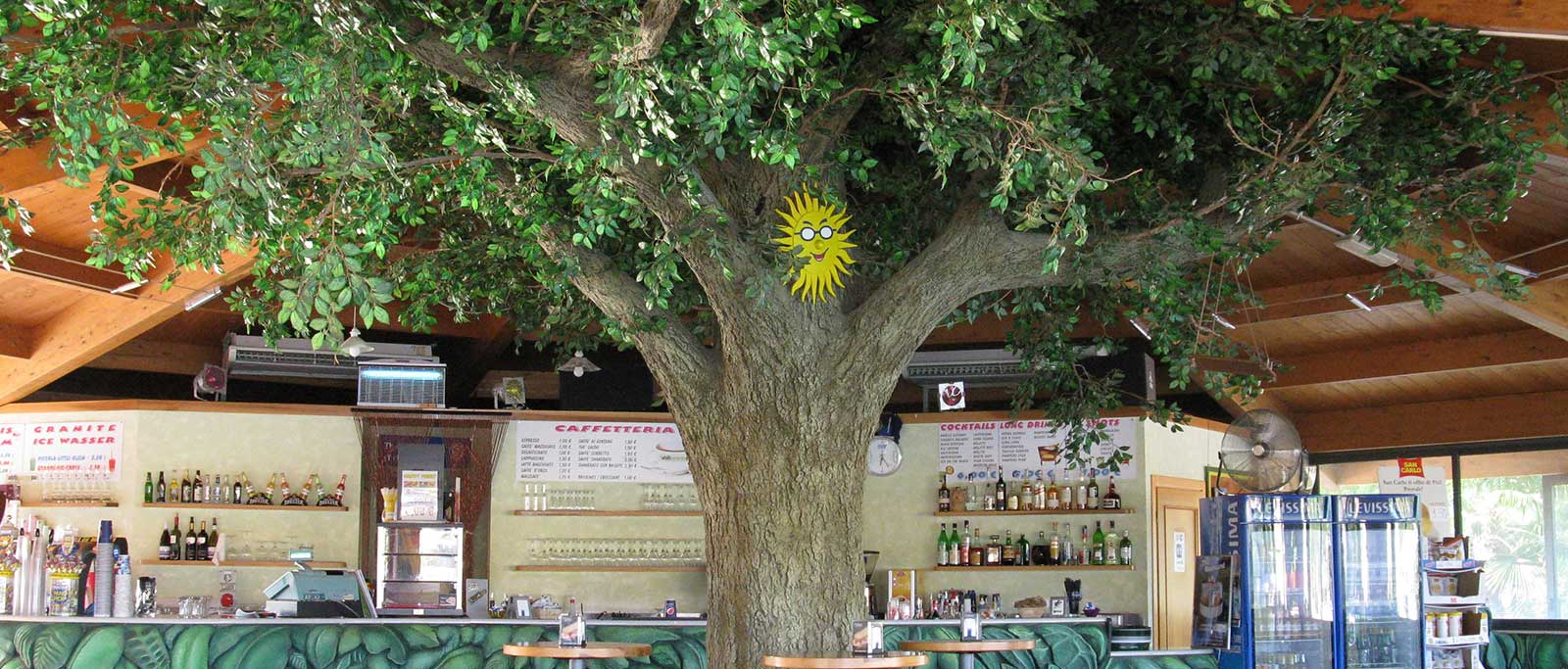 alberi-artificiali-slide-6
