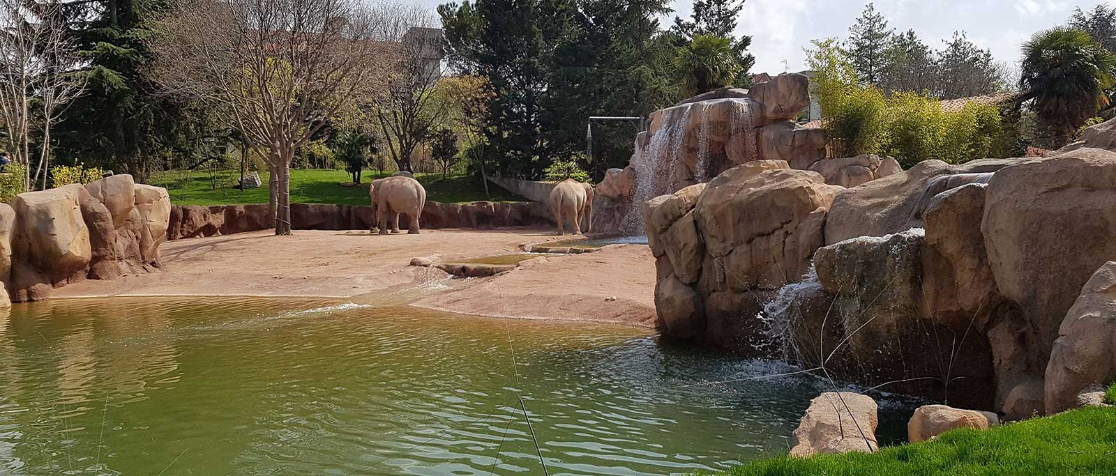 parco-zoo-slide-2