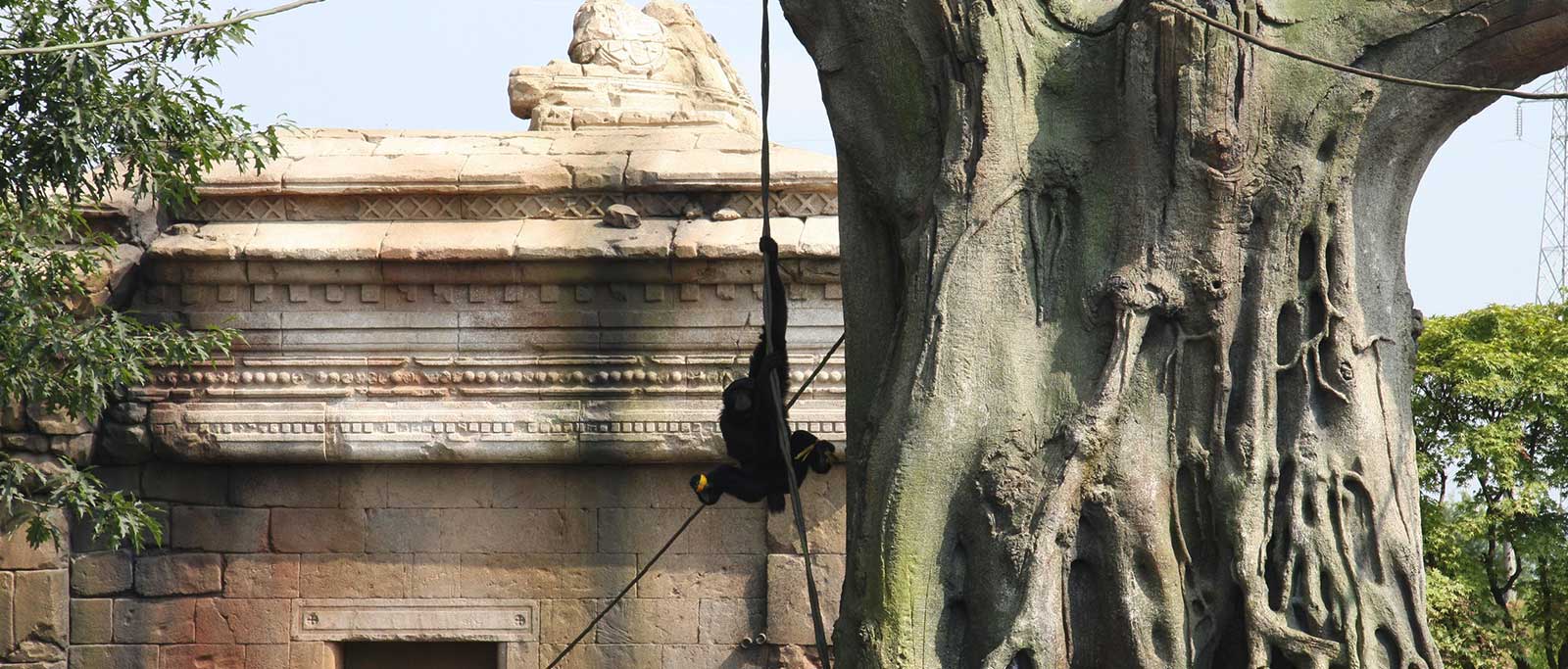 parco-zoo-slide-3