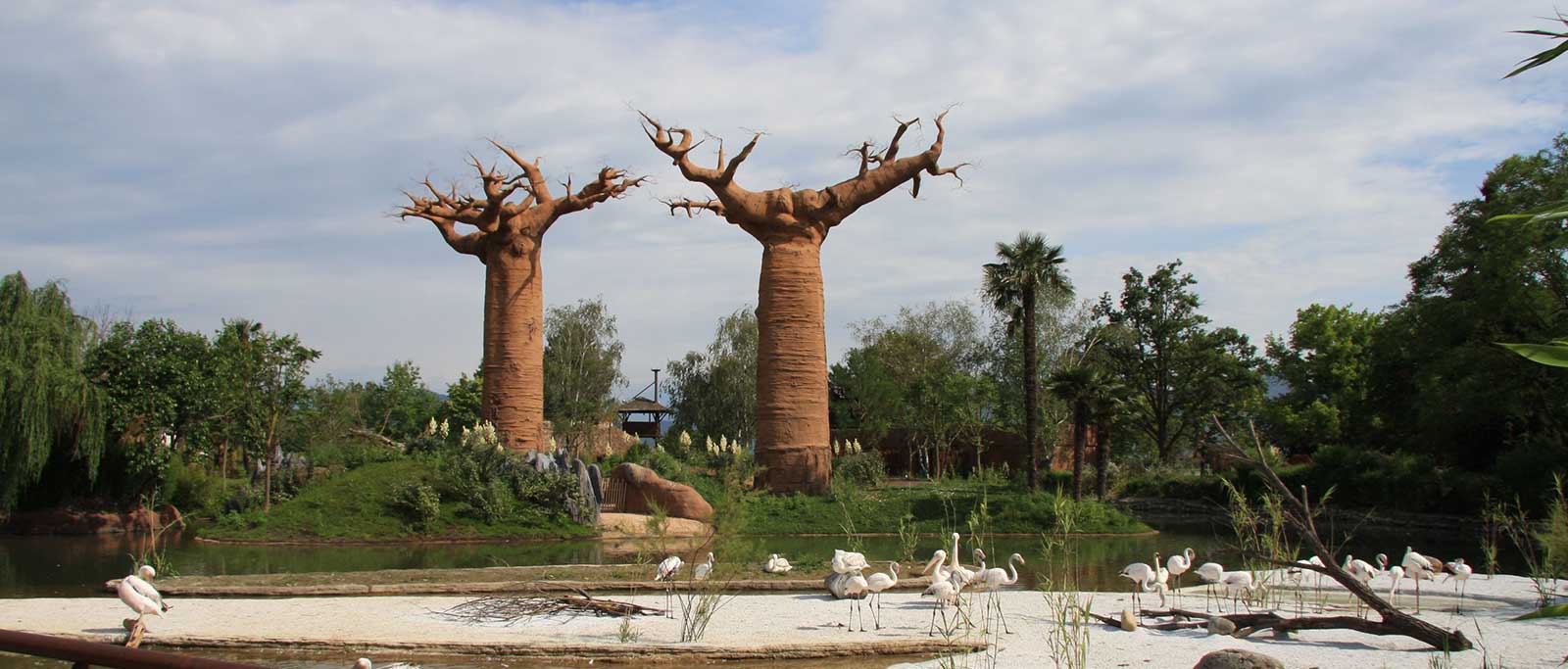 parco-zoo-slide-4