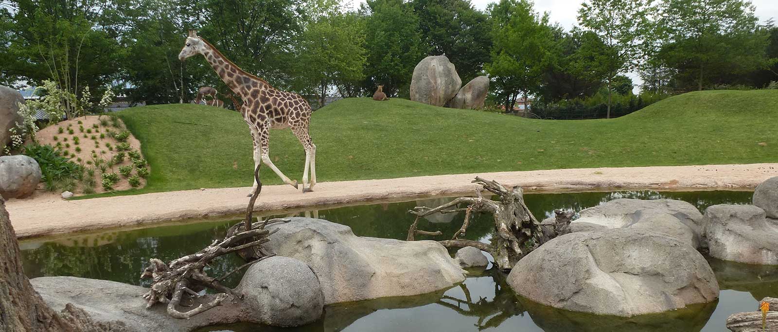 parco-zoo-slide-5