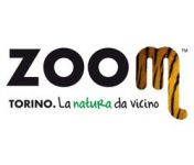02-zoom-torino