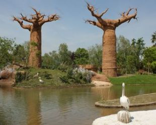 Alberi Artificiali