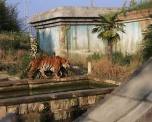 Parco Zoo
